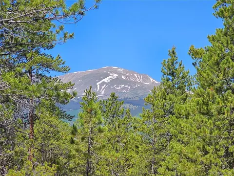 426 Sequoia Dr, Twin Lakes, CO 81251