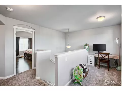 6340 Corvina St, Evans, CO 80634 photo 15