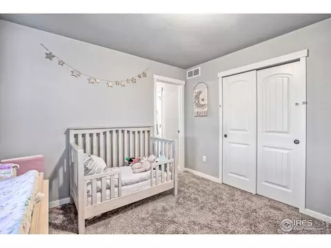 6340 Corvina St, Evans, CO 80634 photo 16