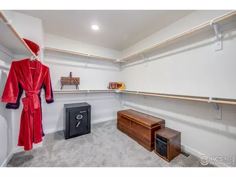 5230 2nd Ave, Timnath, CO 80547 photo 23
