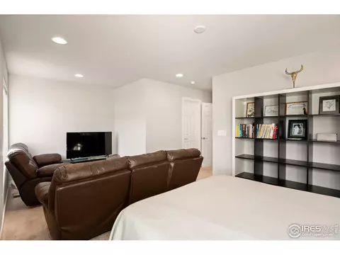 16202 E 47th Pl, Denver, CO 80239 photo 19
