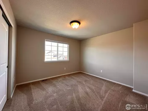 2057 Day Spring Dr, Windsor, CO 80550 photo 24
