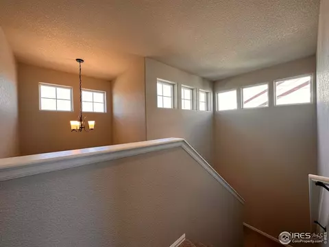 2057 Day Spring Dr, Windsor, CO 80550 photo 13