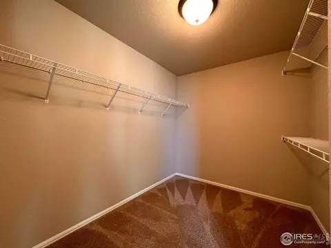 2057 Day Spring Dr, Windsor, CO 80550 photo 18