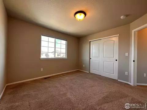 2057 Day Spring Dr, Windsor, CO 80550 photo 23