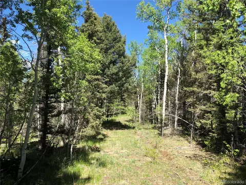 77 Timberline Ct, Guffey, CO 80820