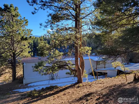864 E Fern Rd, Woodland Park, CO 80863