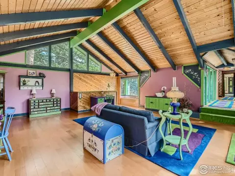 28 Wild Tiger Rd, Boulder, CO 80302 photo 21