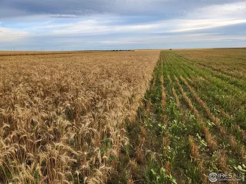 9751 Manilla Rd, Bennett, CO 80102 photo 6