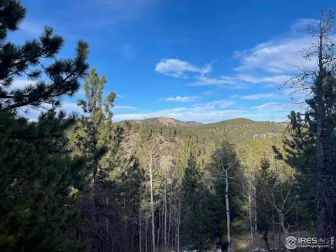 0 Hummer Dr, Nederland, CO 80466