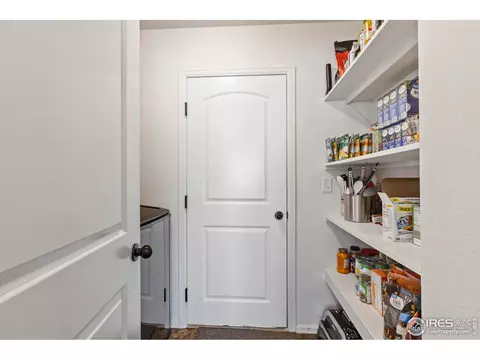 1010 Axis Dr, Severance, CO 80550 photo 14