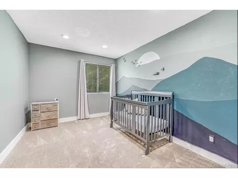 3646 E 107th Ave, Thornton, CO 80233 photo 21