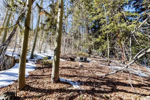 944 Roberts Rd, Alma, CO 80420