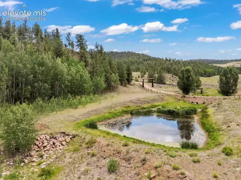 View/Area - 2416 Aspen Meadows Ln, Guffey, CO 80820 photo 1 of 2