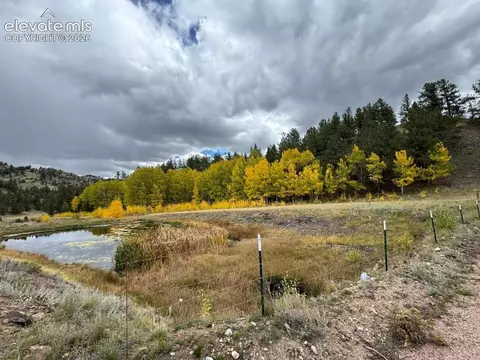 Other - 2416 Aspen Meadows Ln, Guffey, CO 80820 photo 19 of 21