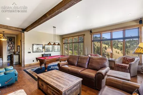 Living - 2416 Aspen Meadows Ln, Guffey, CO 80820 photo 4 of 5