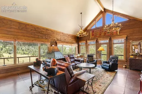 Living - 2416 Aspen Meadows Ln, Guffey, CO 80820 photo 2 of 5