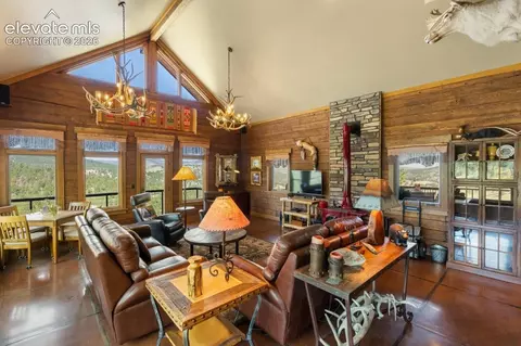 Living - 2416 Aspen Meadows Ln, Guffey, CO 80820 photo 1 of 5