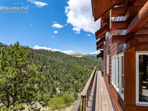 Exterior - 2416 Aspen Meadows Ln, Guffey, CO 80820 photo 6 of 6