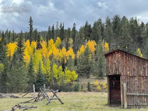 Other - 2416 Aspen Meadows Ln, Guffey, CO 80820 photo 21 of 21