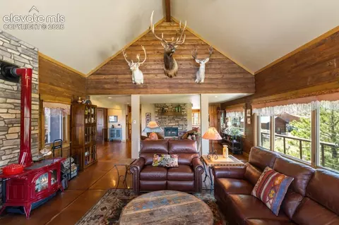 Living - 2416 Aspen Meadows Ln, Guffey, CO 80820 photo 3 of 5