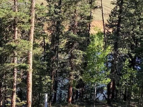 2758 Blue Mesa Dr, Divide, CO 80814 photo 4