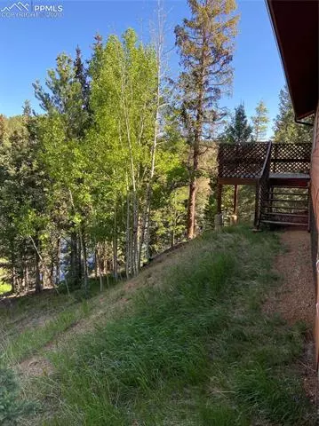 2758 Blue Mesa Dr, Divide, CO 80814 photo 3