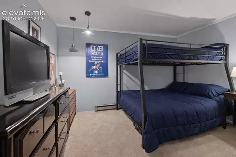 756 Spring Valley Dr, Divide, CO 80814 photo 30