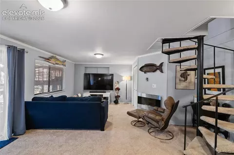 756 Spring Valley Dr, Divide, CO 80814 photo 23