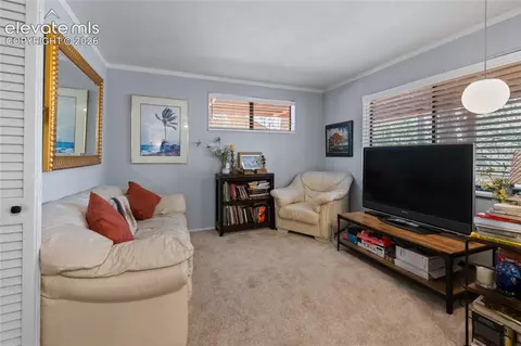 756 Spring Valley Dr, Divide, CO 80814 photo 29