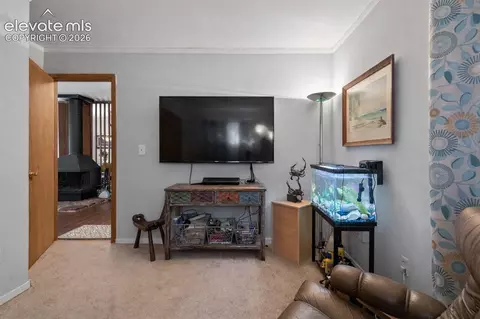 756 Spring Valley Dr, Divide, CO 80814 photo 19