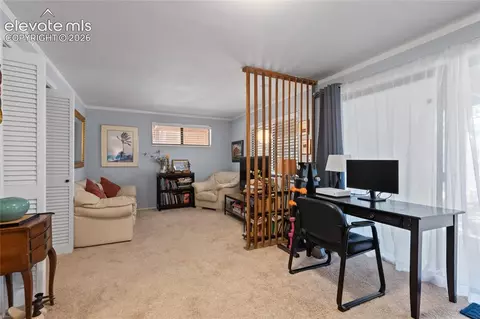 756 Spring Valley Dr, Divide, CO 80814 photo 26