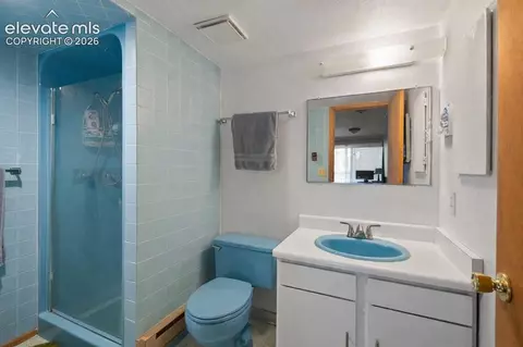 756 Spring Valley Dr, Divide, CO 80814 photo 27