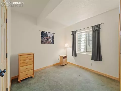 136 Cooper Lake Dr, Divide, CO 80814 photo 29