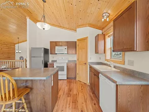 136 Cooper Lake Dr, Divide, CO 80814 photo 11