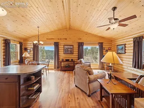 136 Cooper Lake Dr, Divide, CO 80814 photo 18