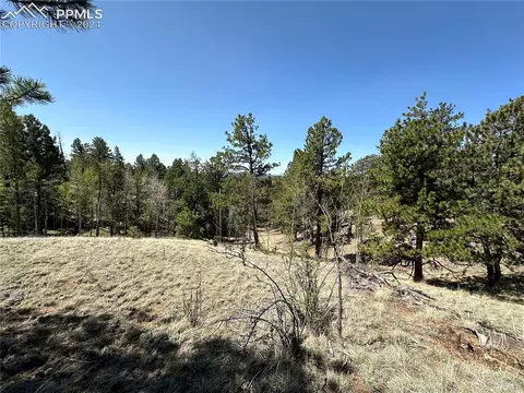 186 Kenosha Way, Florissant, CO 80816