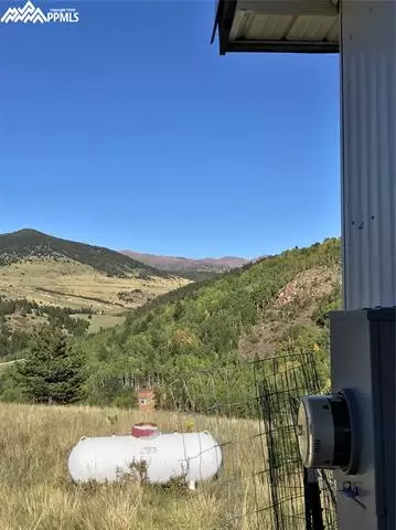 2115 Teller 1 Rd, Cripple Creek, CO 80813 photo 5