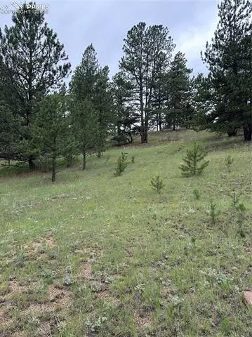 421 Pinewood Rd, Florissant, CO 80816
