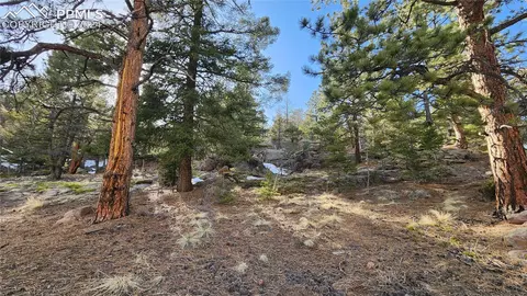 81 Horseshoe Trl, Florissant, CO 80816