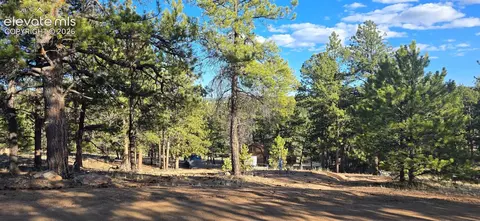 595 Mustang Trl, Florissant, CO 80816