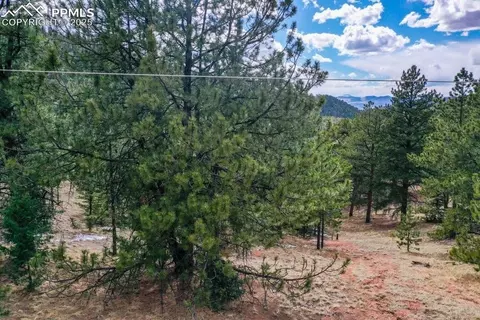 395 Wabash Ter, Cripple Creek, CO 80813