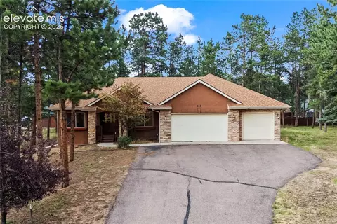 113 Flagstick Dr, Woodland Park, CO 80863