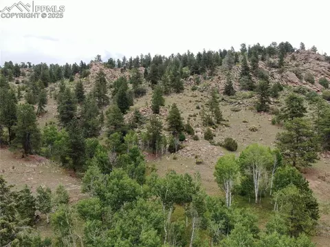 76 Crocus Cir, Florissant, CO 80816