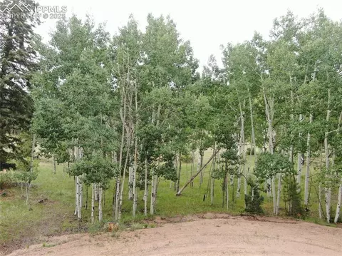 76 Crocus Cir, Florissant, CO 80816