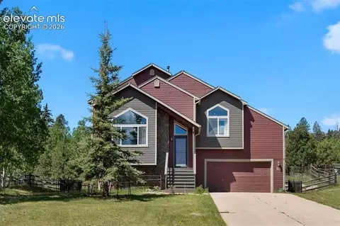 481 Black Bear Trl, Woodland Park, CO 80863