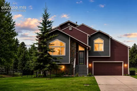 481 Black Bear Trl, Woodland Park, CO 80863