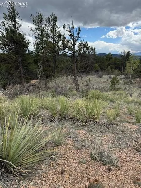 22 Columbine Rd, Florissant, CO 80816