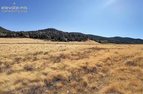 Other - 1115 Eagles Gate Rd, Westcliffe, CO 81252 photo 20 of 23