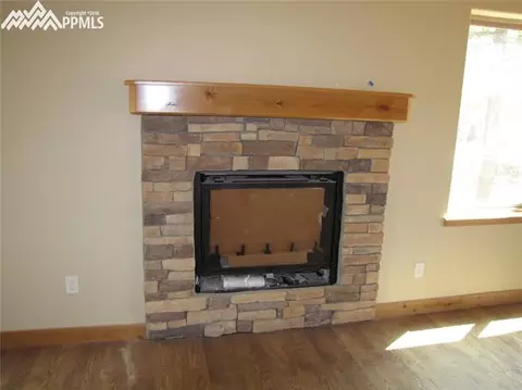 4047 Omer Ln, Divide, CO 80814 photo 3